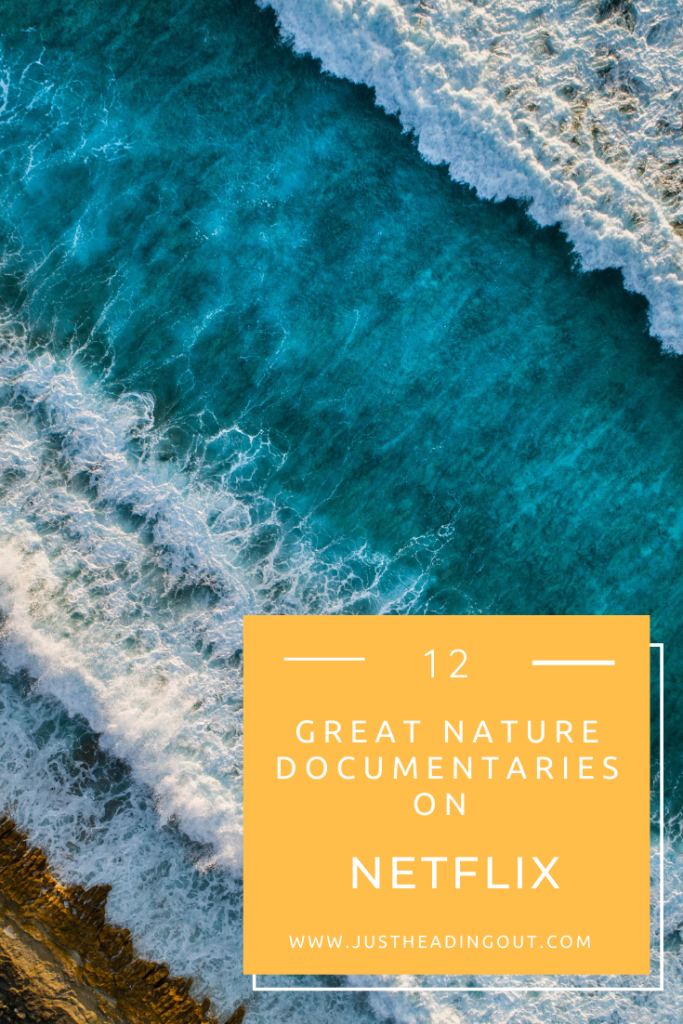 nature documentary netflix travel inspiration ocean