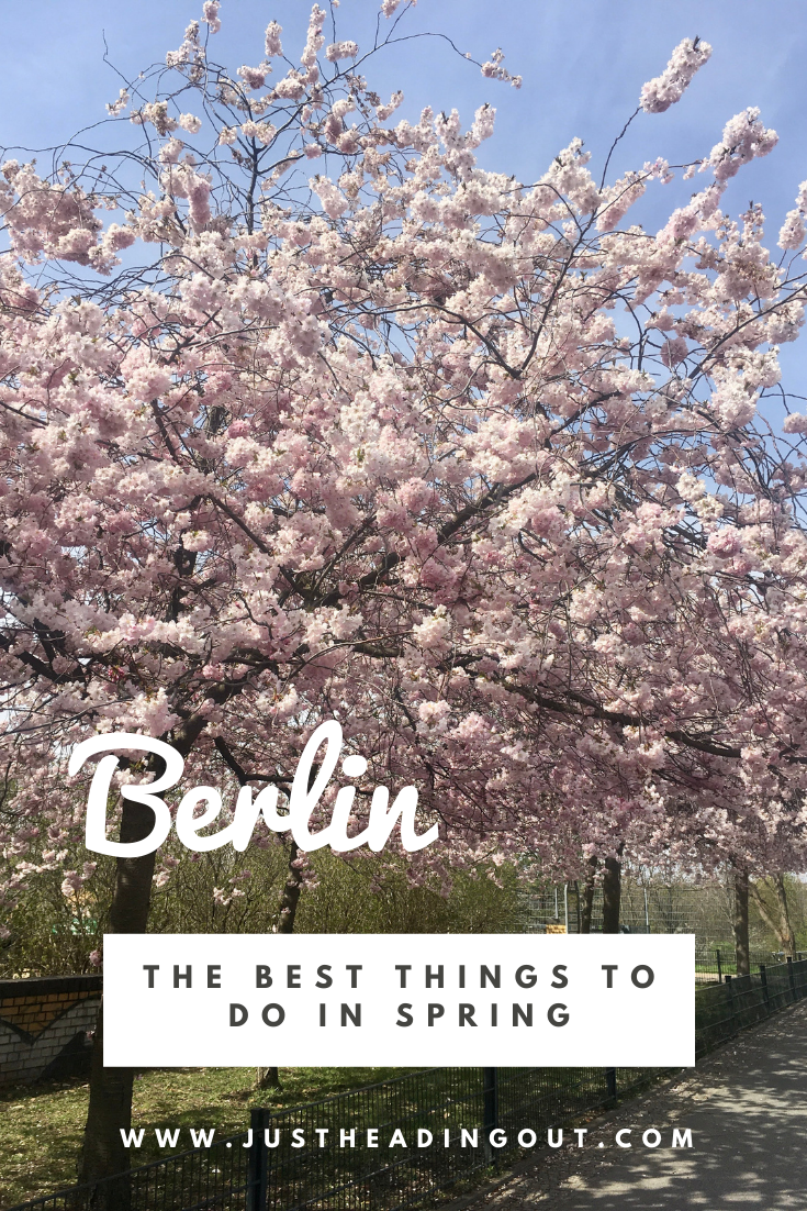 cherry bossoms with text overlay Berlin the best things to do in spring